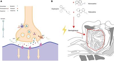 Pharmacological interventions for the treatment of obstructive sleep apnea syndrome